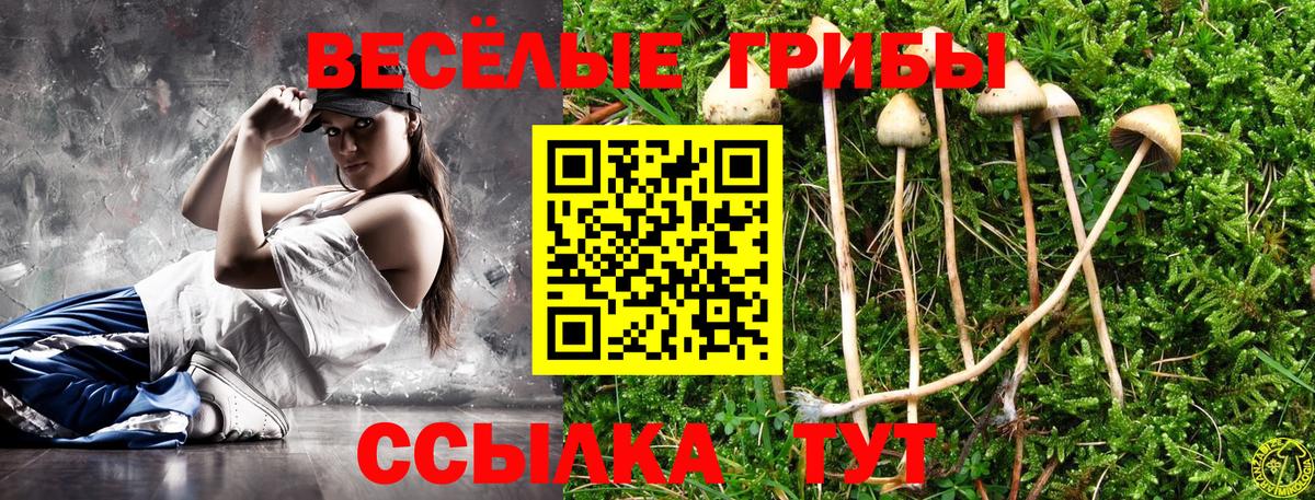Псилоцибиновые грибы Psilocybe Железноводск