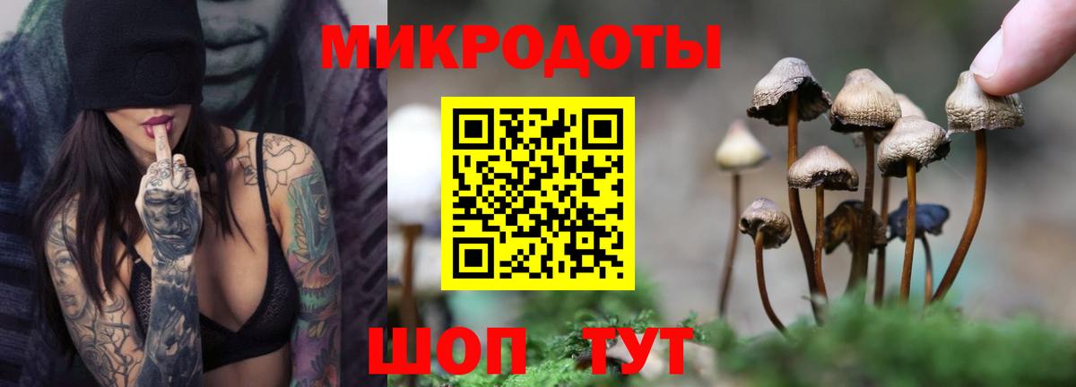 Галлюциногенные грибы мухоморы  Вход с VPN  Галлюциногенные грибы Magic Shrooms  закладка  Железноводск 